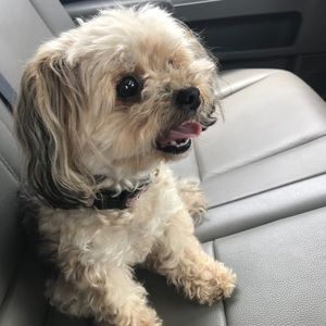 Meet your Posher, Mallory